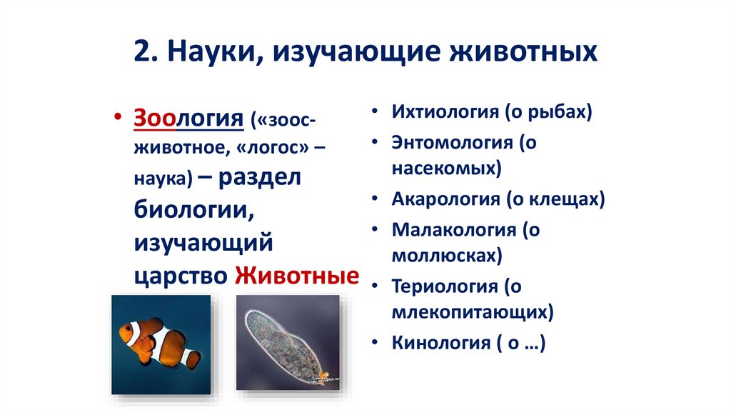 2. Науки, изучающие животных