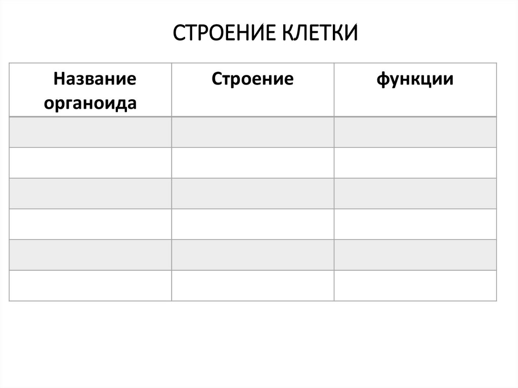 СТРОЕНИЕ КЛЕТКИ