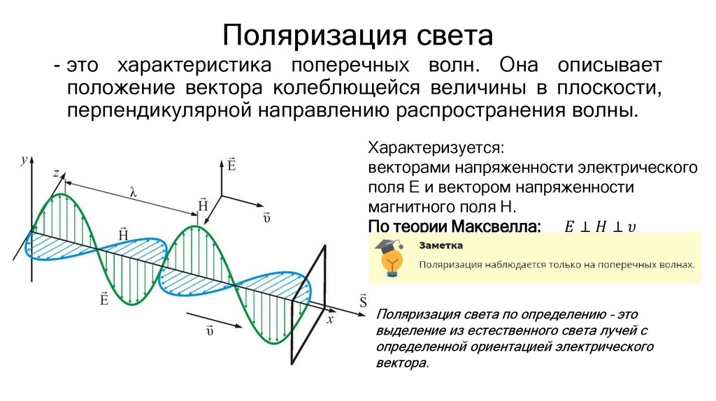 Поляризация света