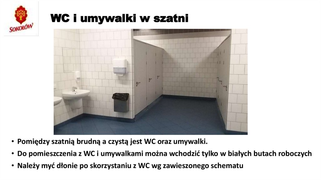 WC i umywalki w szatni