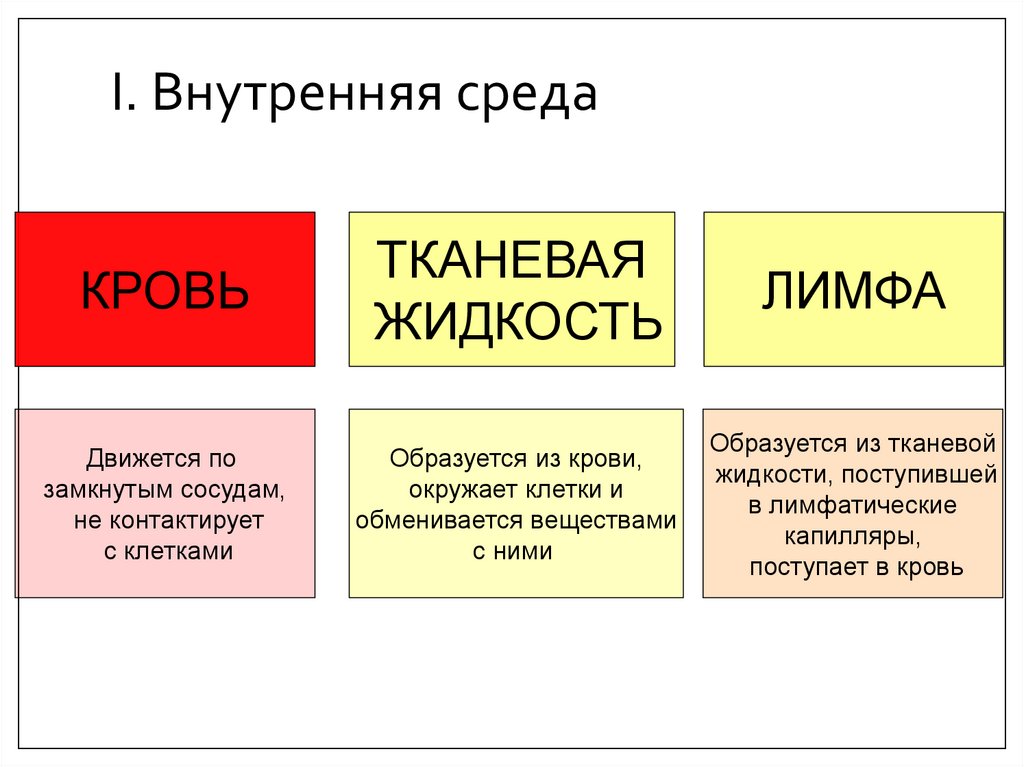 I. Внутренняя среда