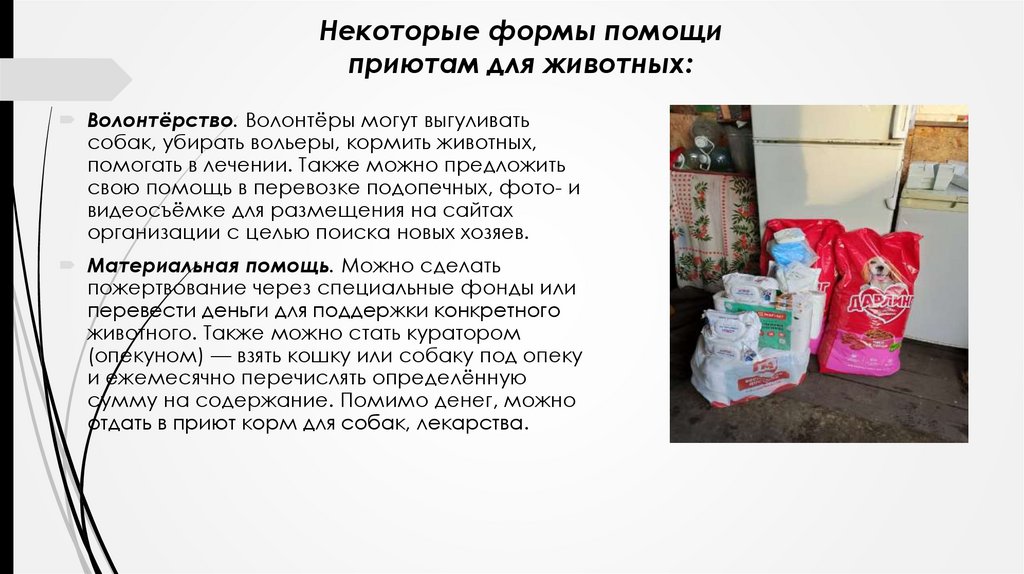 Некоторые формы помощи приютам для животных: