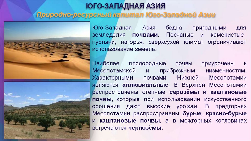 ЮГО-ЗАПАДНАЯ АЗИЯ Природно-ресурсный капитал Юго-Западной Азии