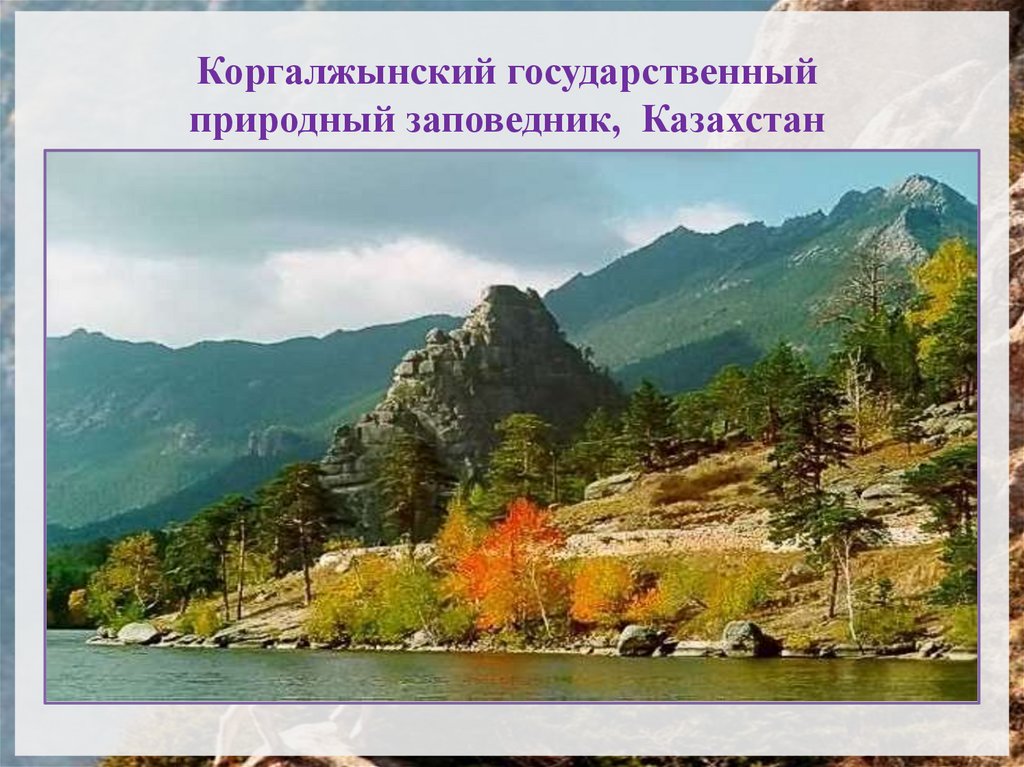 Коргалжынский государственный природный заповедник, Казахстан