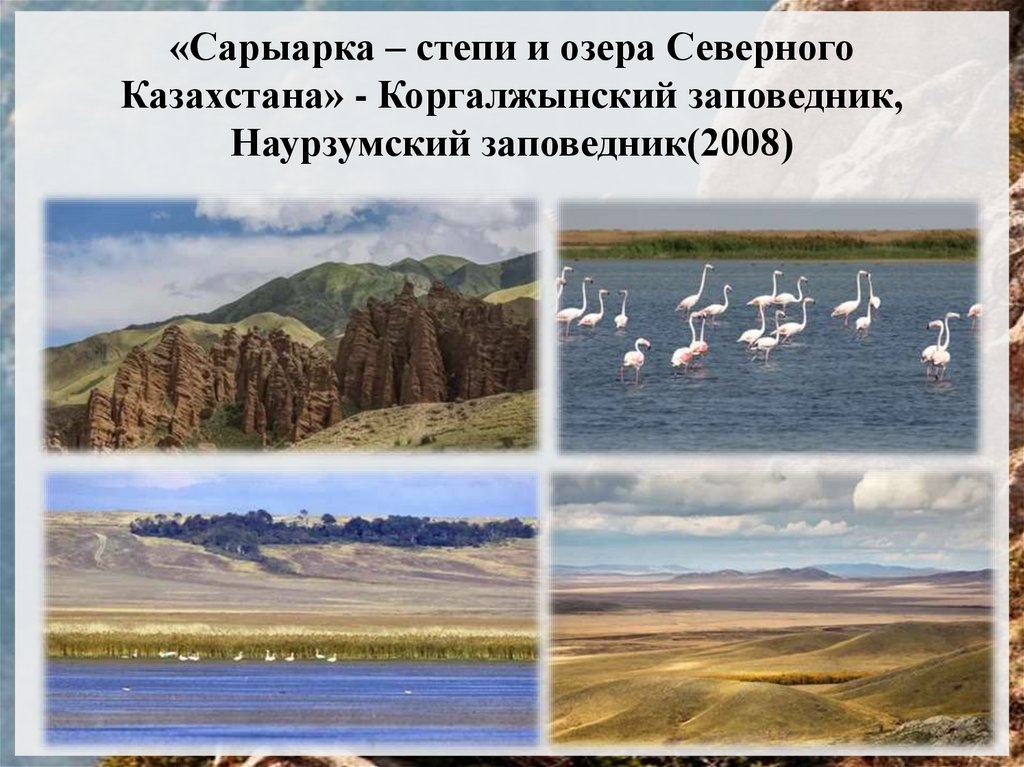 «Сарыарка – степи и озера Северного Казахстана» - Коргалжынский заповедник, Наурзумский заповедник(2008)