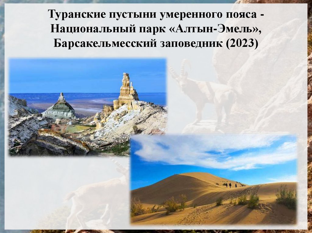 Туранские пустыни умеренного пояса - Национальный парк «Алтын-Эмель», Барсакельмесский заповедник (2023)