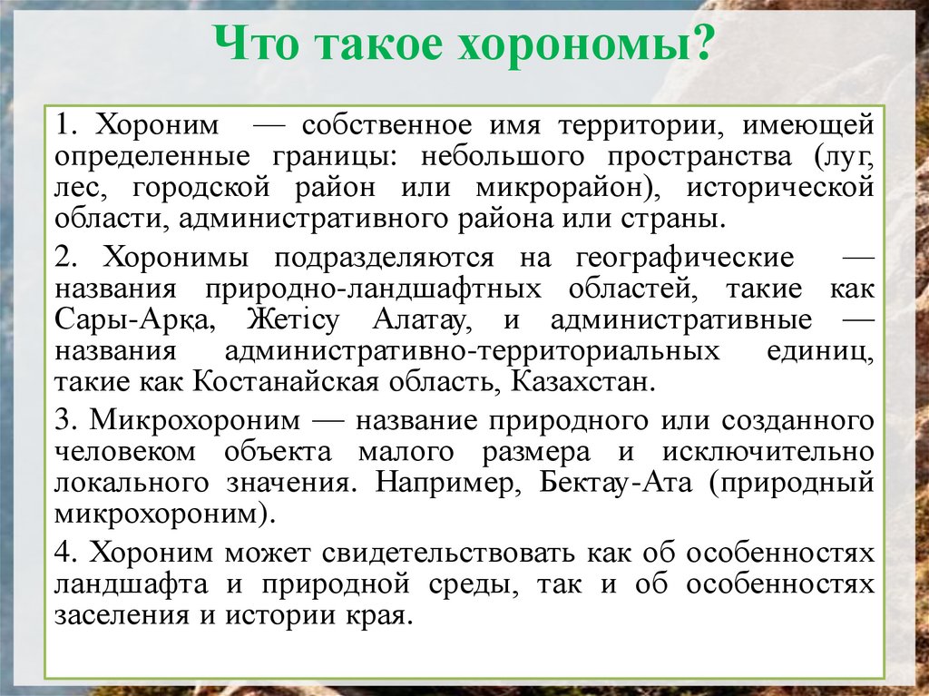 Что такое хорономы?