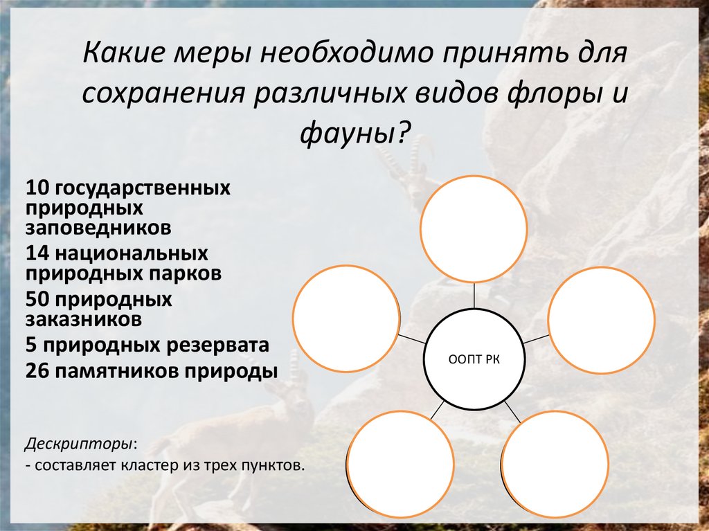 Какие меры необходимо принять для сохранения различных видов флоры и фауны?