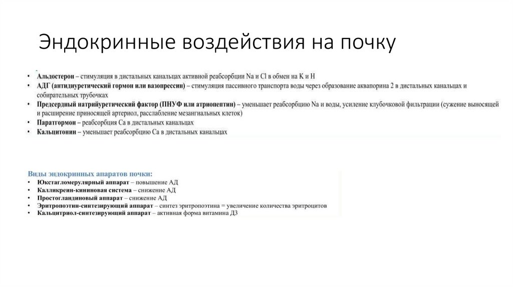 Эндокринные воздействия на почку
