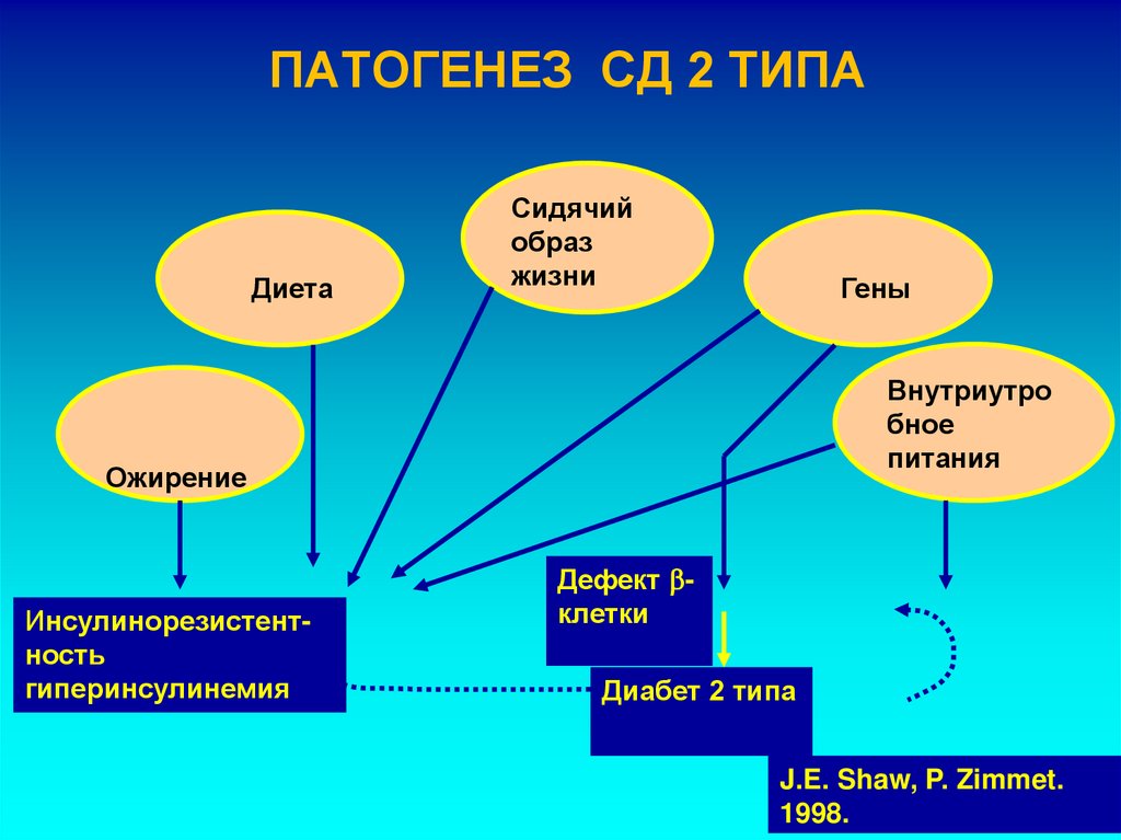 ПАТОГЕНЕЗ СД 2 ТИПА