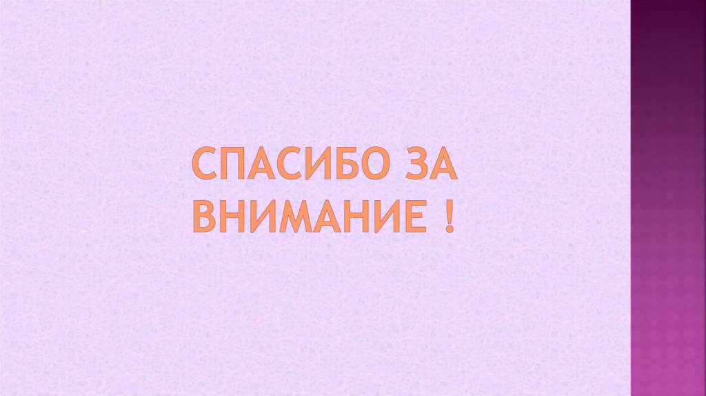 Спасибо за внимание !