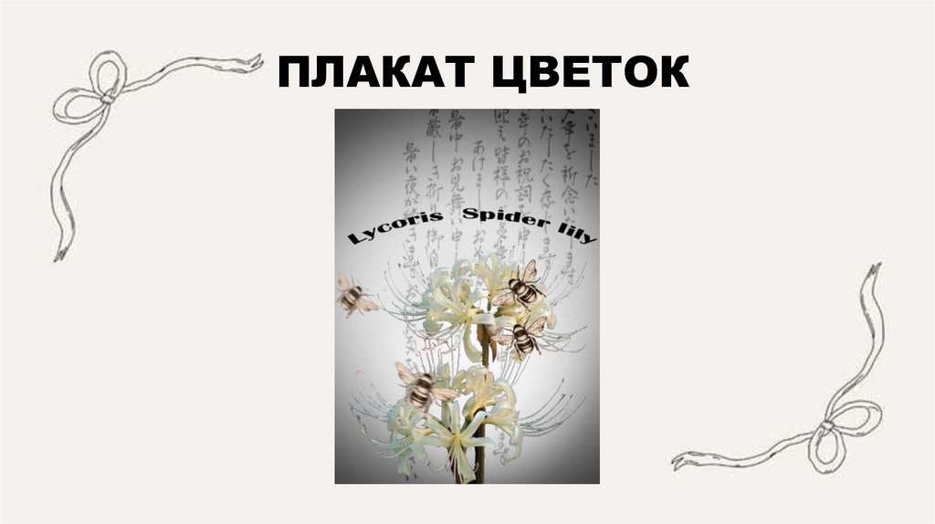 ПЛАКАТ ЦВЕТОК