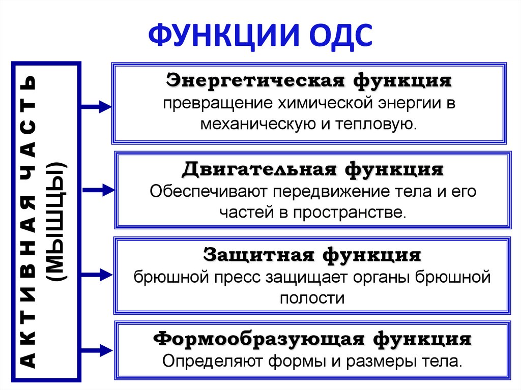ФУНКЦИИ ОДС