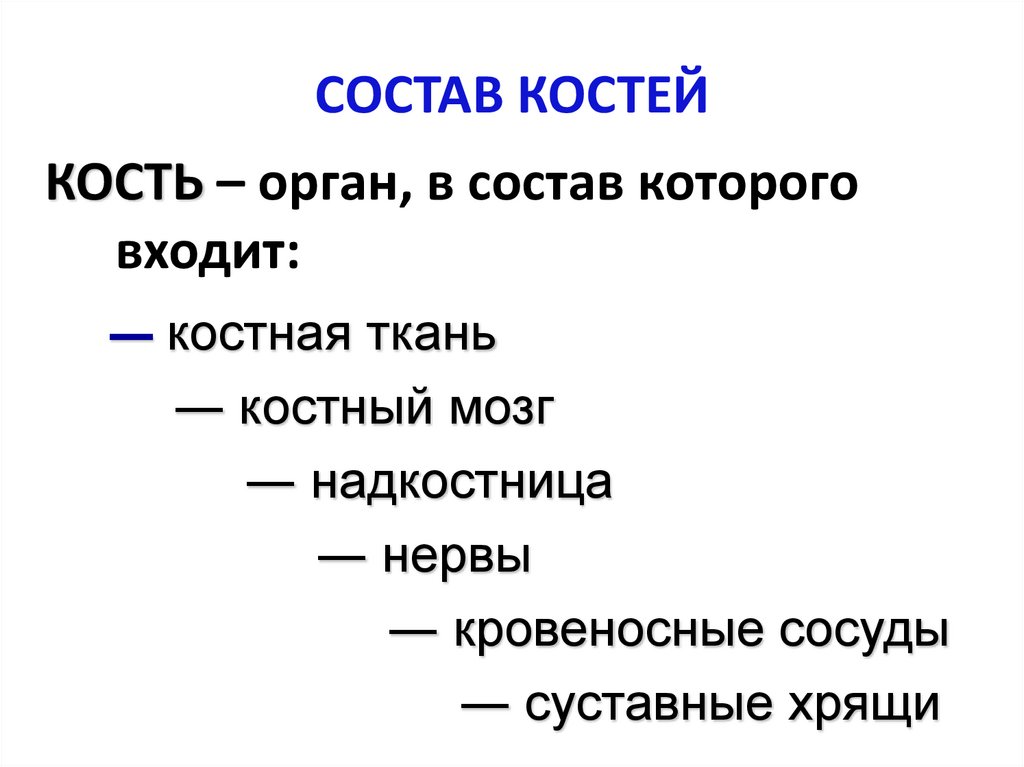 СОСТАВ КОСТЕЙ