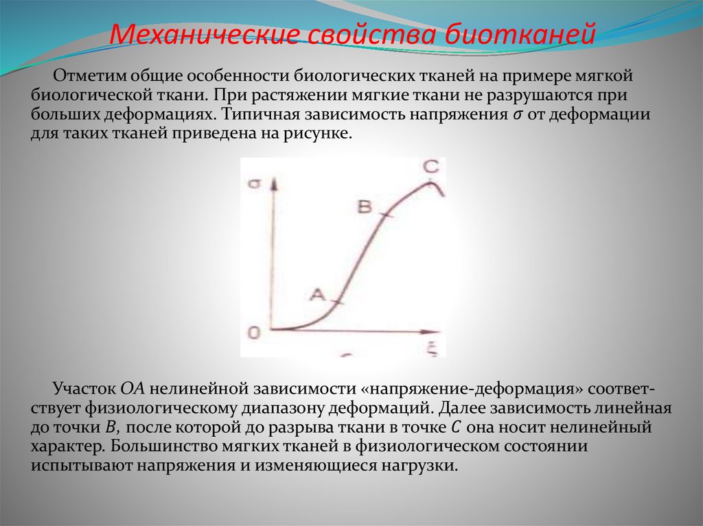 Механические свойства биотканей