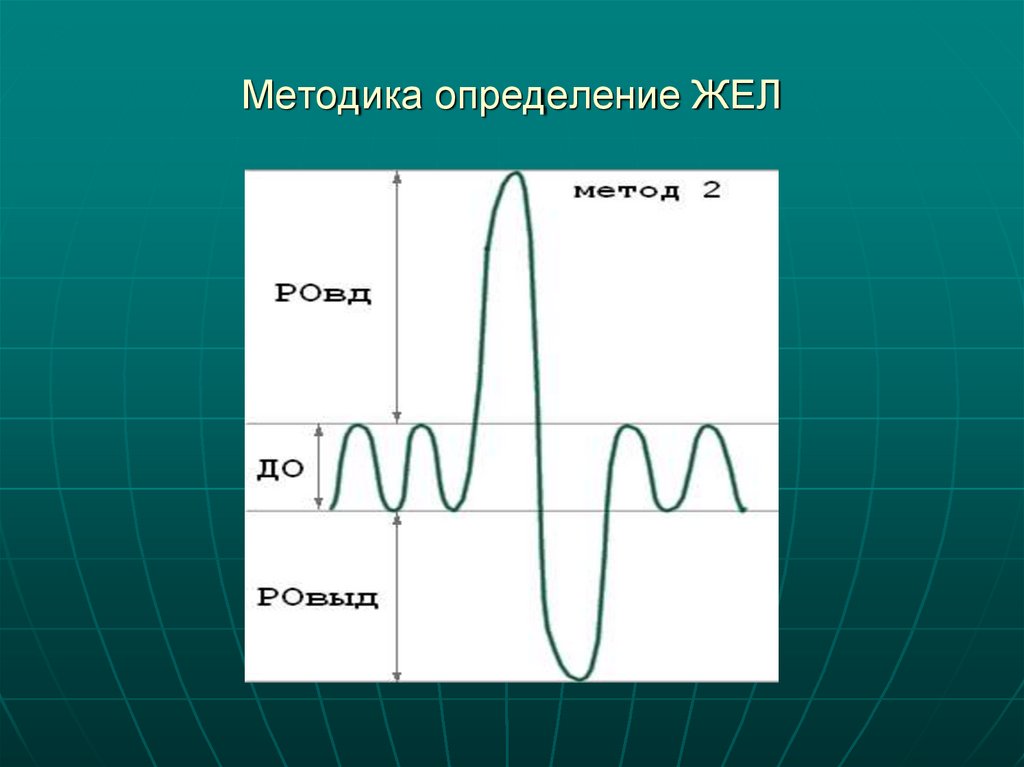 Методика определение ЖЕЛ