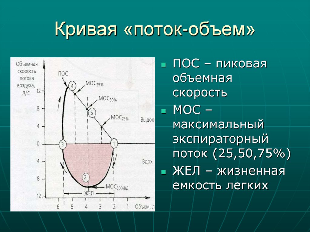 Кривая «поток-объем»