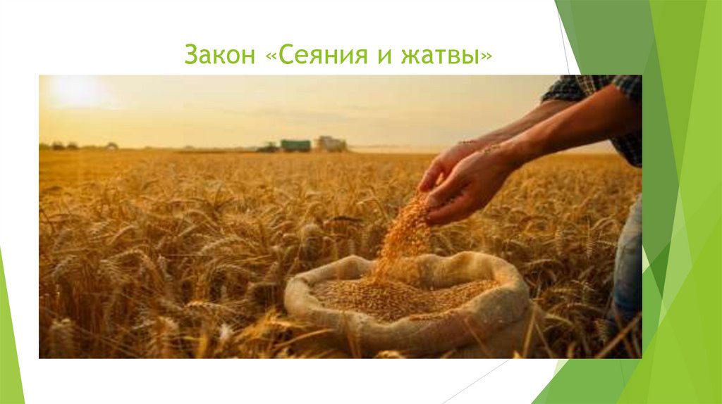 Закон «Сеяния и жатвы»