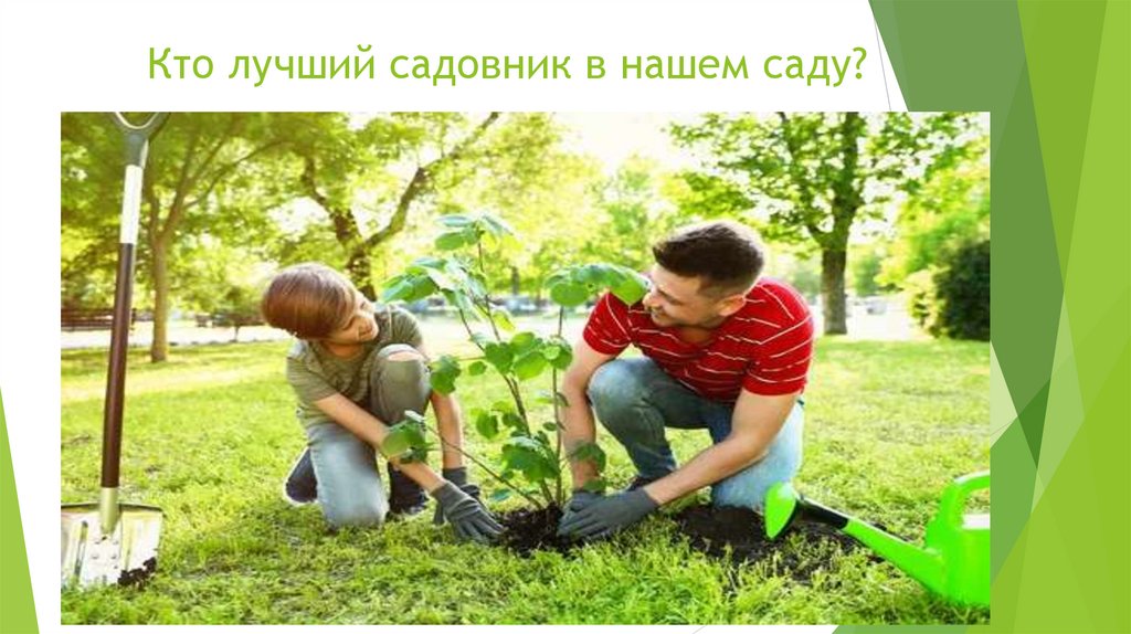 Кто лучший садовник в нашем саду?