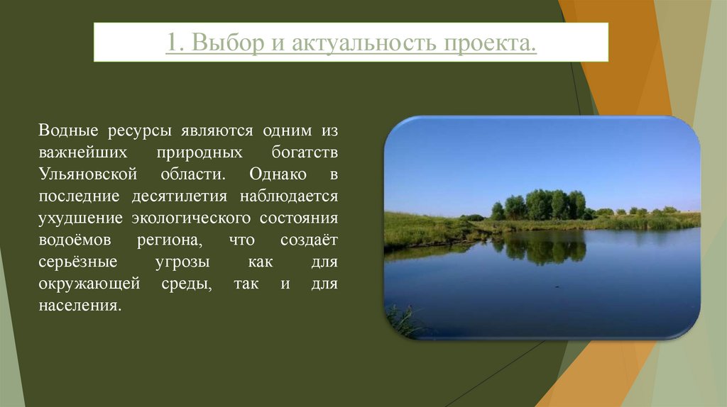 1. Выбор и актуальность проекта.