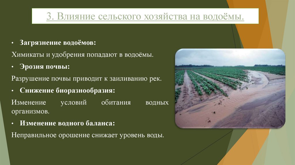 3. Влияние сельского хозяйства на водоёмы.