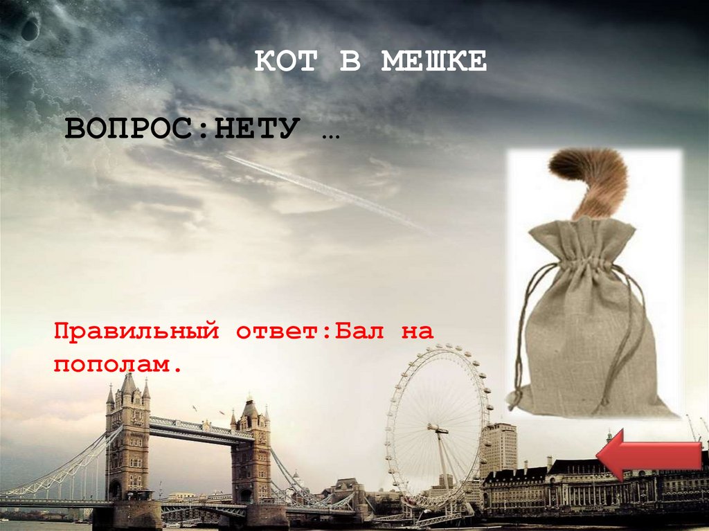 КОТ В МЕШКЕ