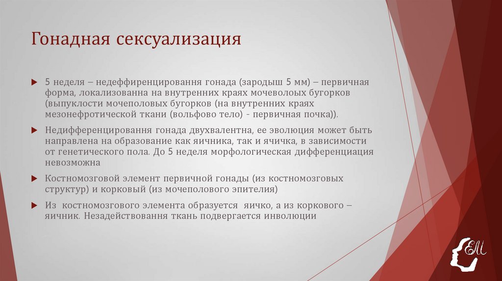 Гонадная сексуализация