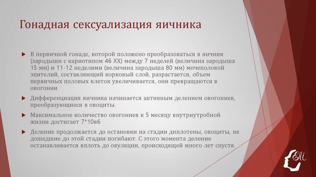 Гонадная сексуализация яичника