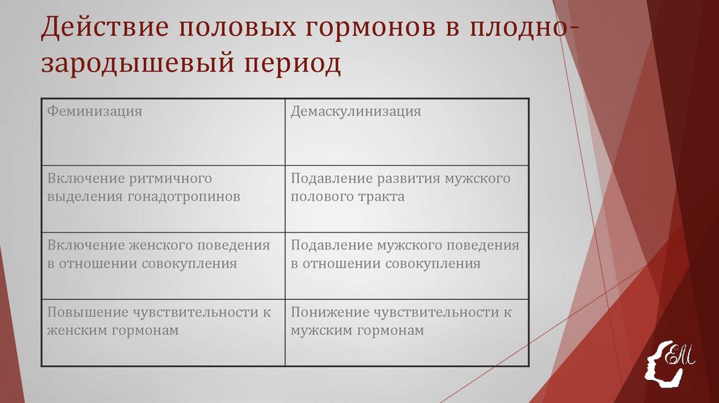 Действие половых гормонов в плодно-зародышевый период