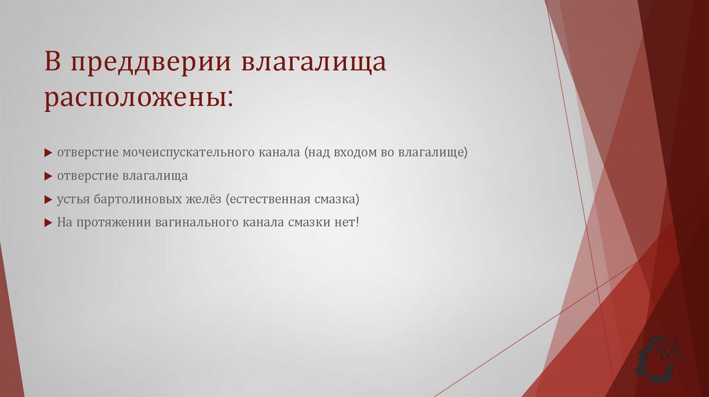 В преддверии влагалища расположены: