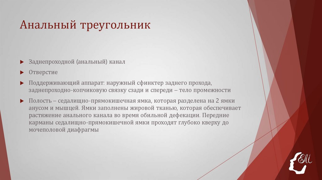 Анальный треугольник