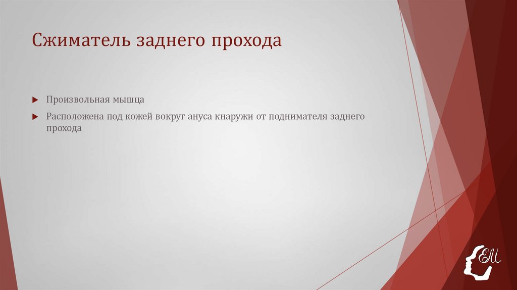 Сжиматель заднего прохода