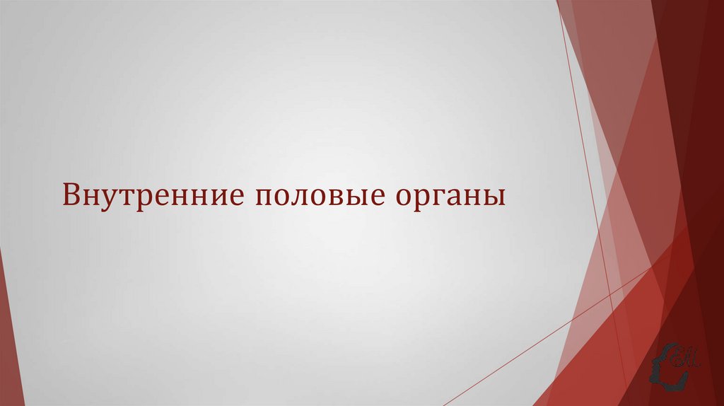 Внутренние половые органы