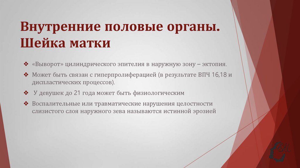 Внутренние половые органы. Шейка матки