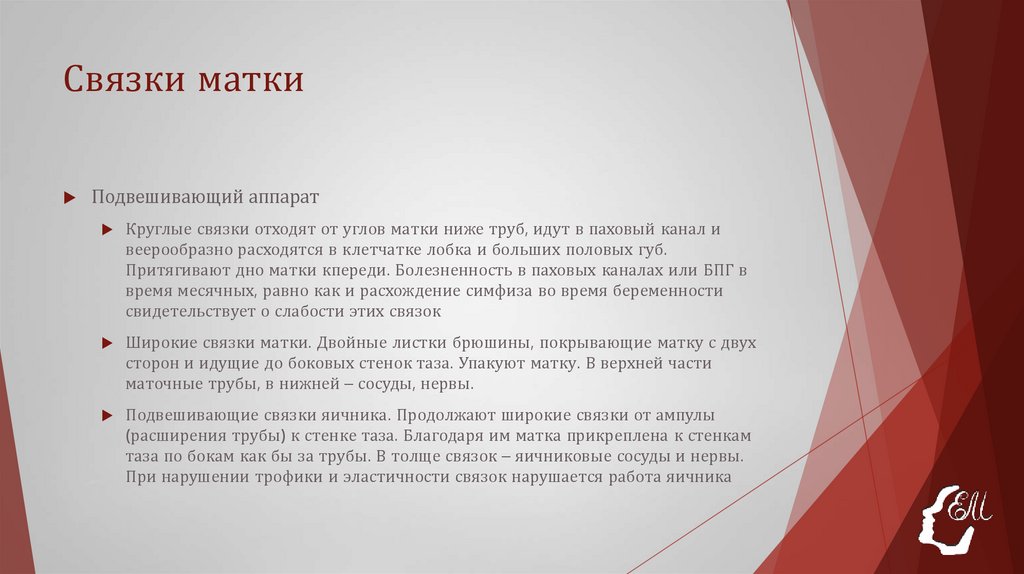 Связки матки