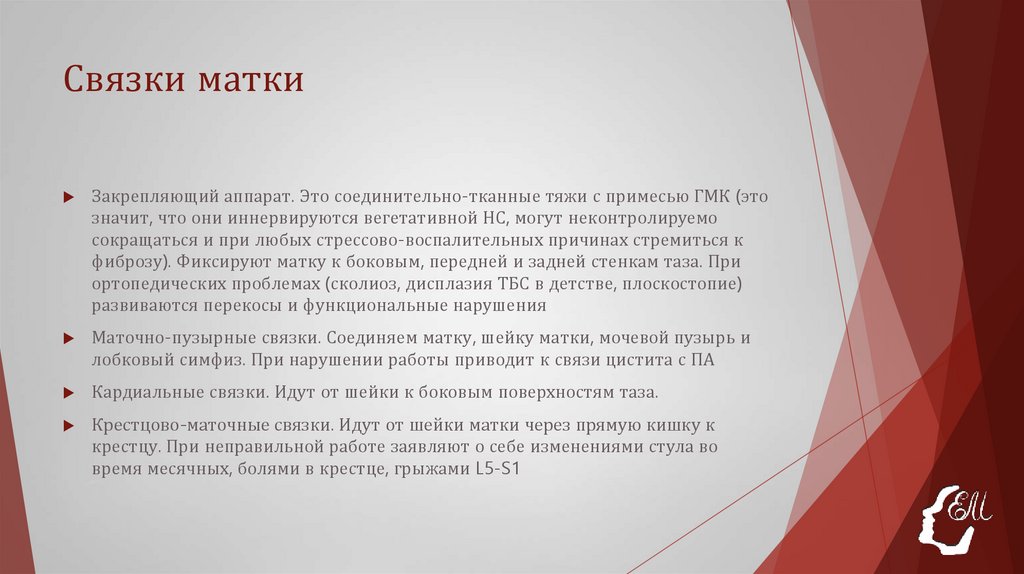 Связки матки