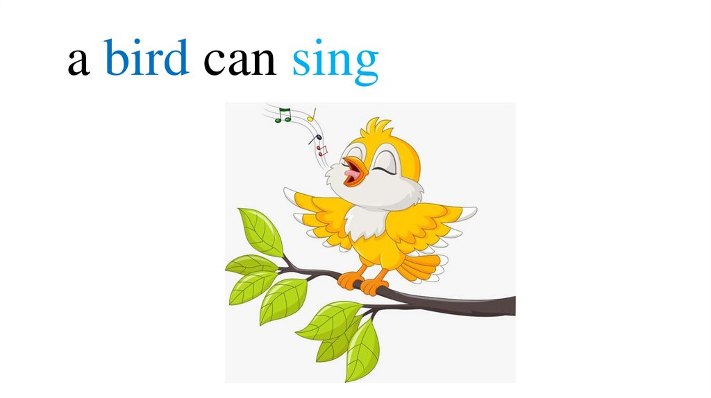 a bird can sing