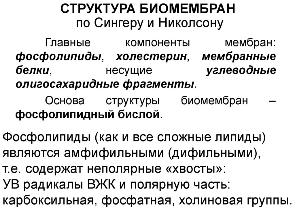 СТРУКТУРА БИОМЕМБРАН по Сингеру и Николсону