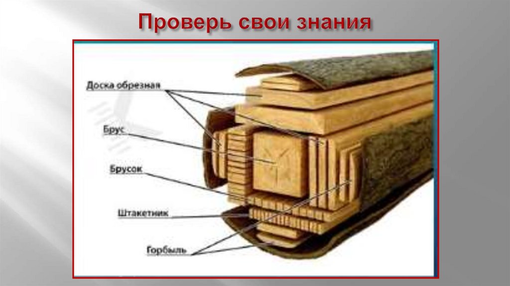 Проверь свои знания