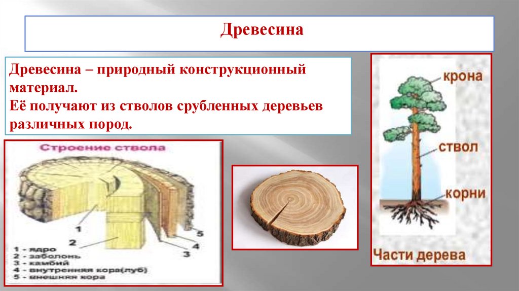 Начнем с изучения конструкционного материала Древесина