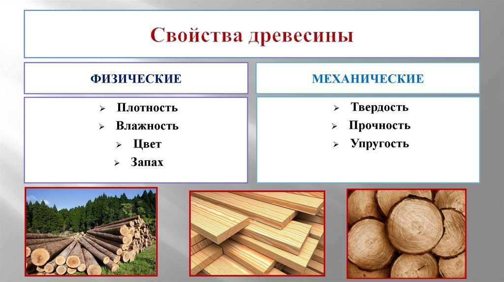 Свойства древесины