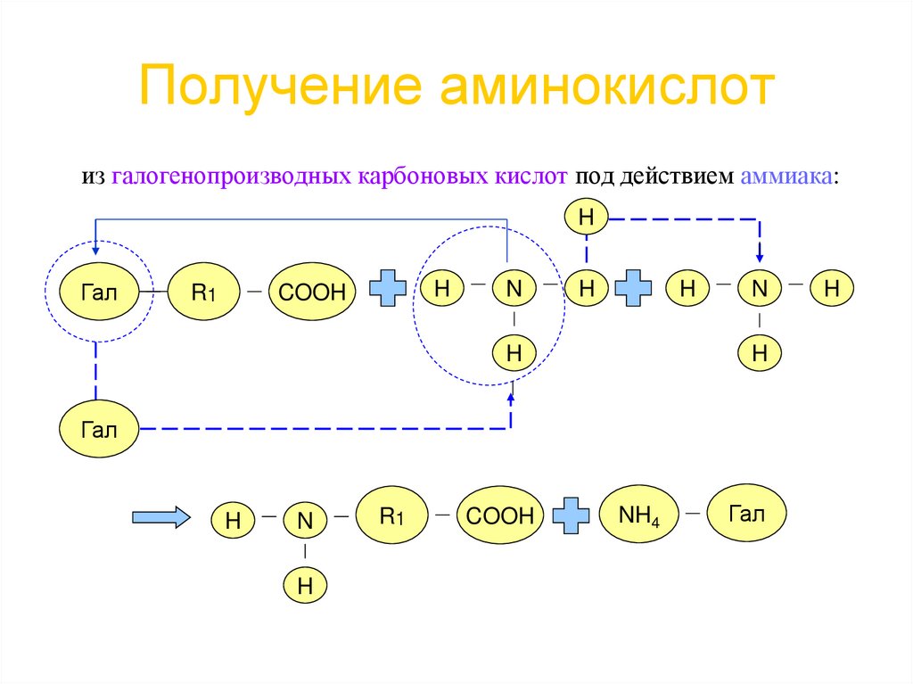 Получение аминокислот
