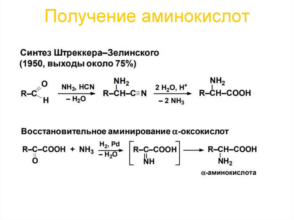 Получение аминокислот