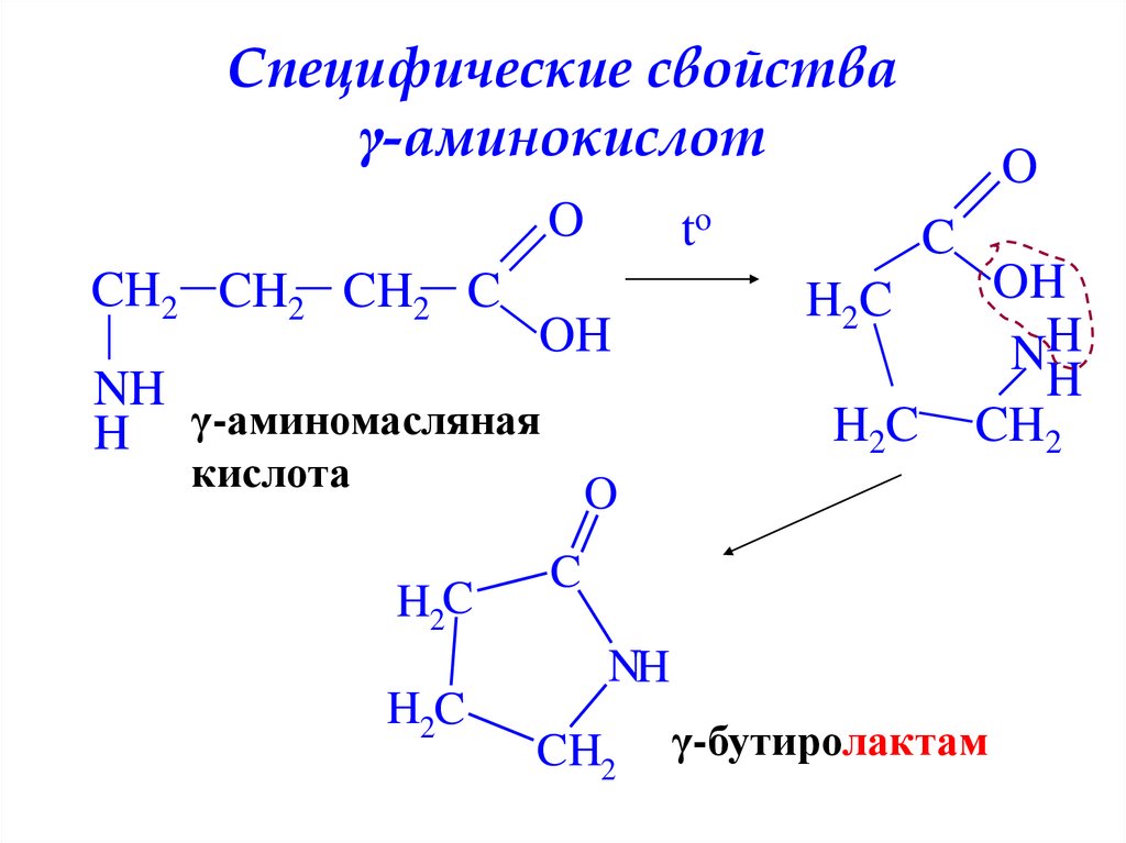 Специфические свойства γ-аминокислот