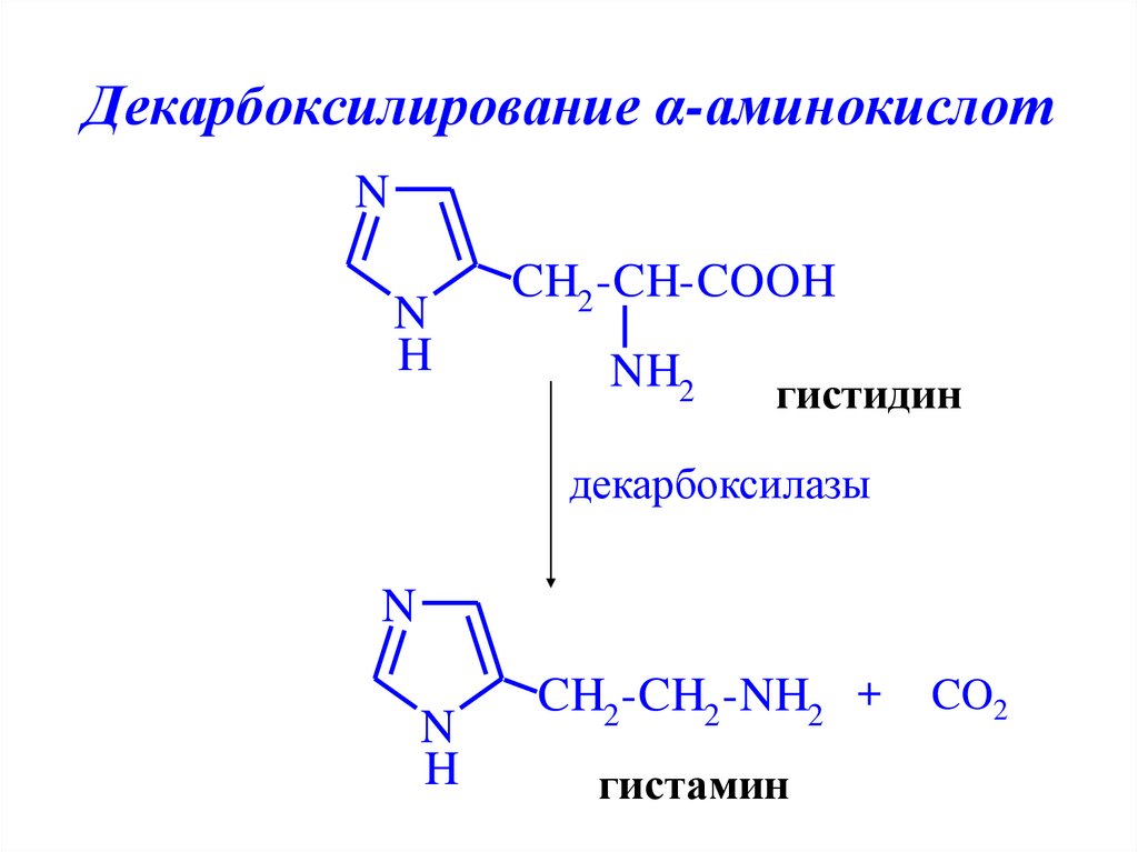Декарбоксилирование α-аминокислот