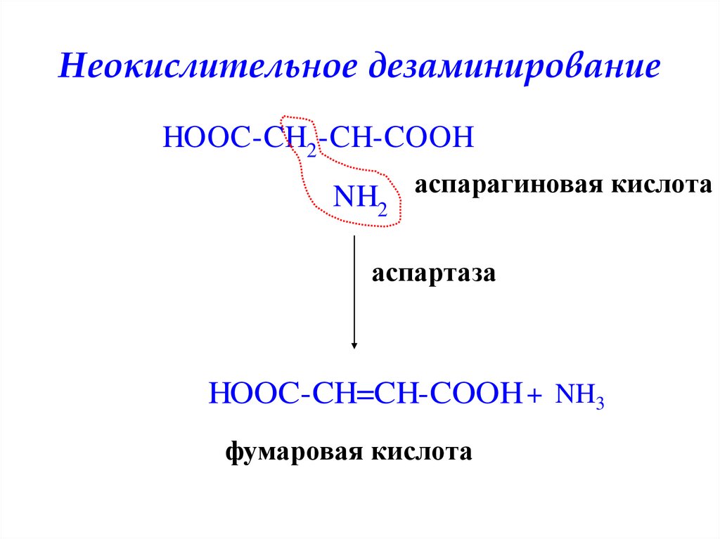 Неокислительное дезаминирование