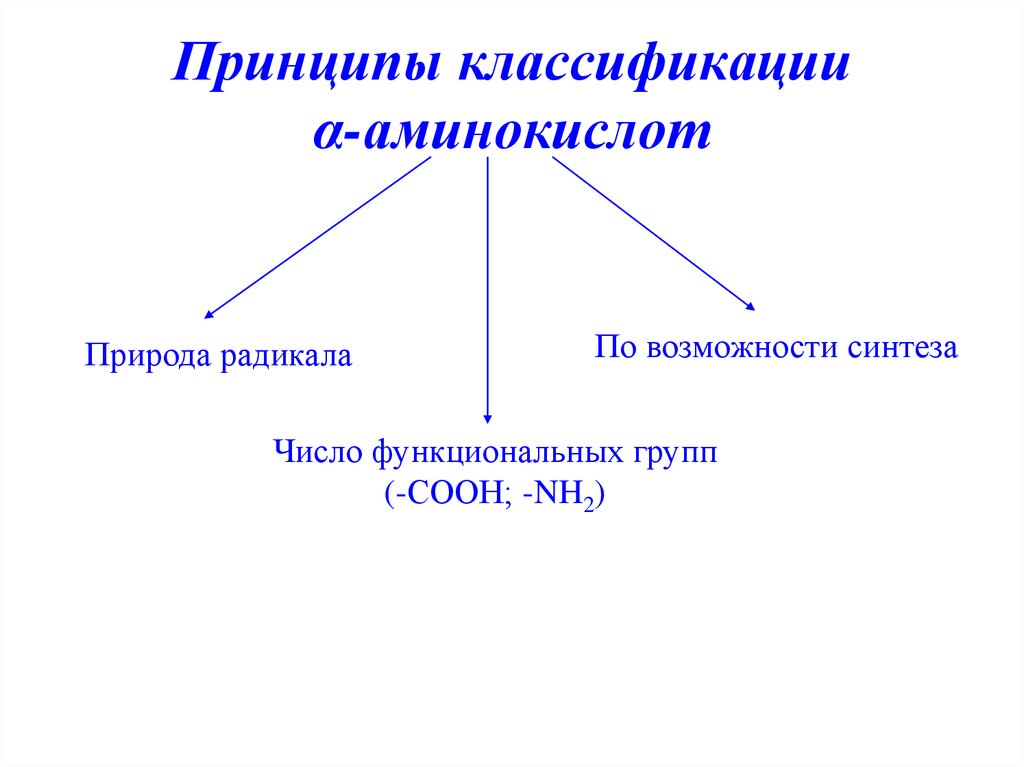 Принципы классификации α-аминокислот