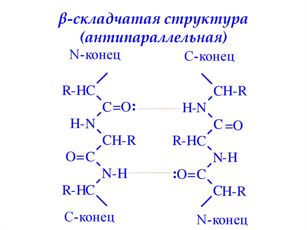 β-складчатая структура (параллельная)