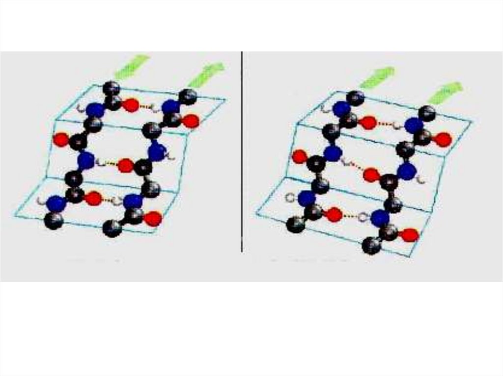 β-складчатая структура (антипараллельная)