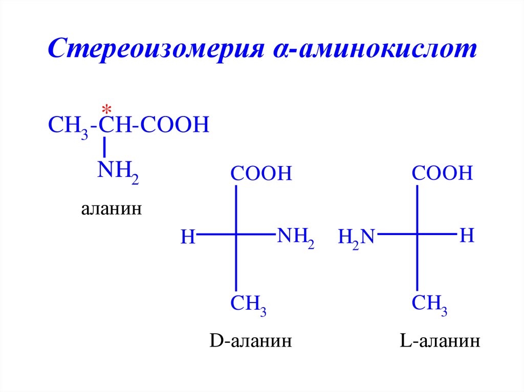 Стереоизомерия α-аминокислот